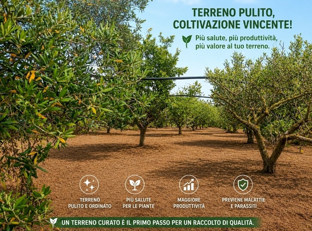 9df7c636-7595-41a7-a008-be29f74a3936 - Agricultural land Partinico - photo 2