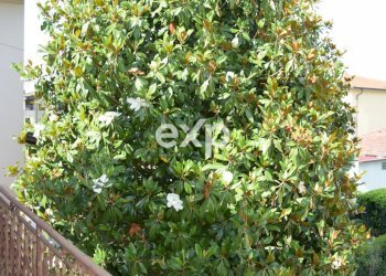 Townhouse Via di Montagnano, Monte San Savino - photo 38