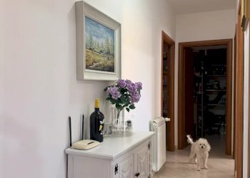 Trilocale Marsala - foto 13
