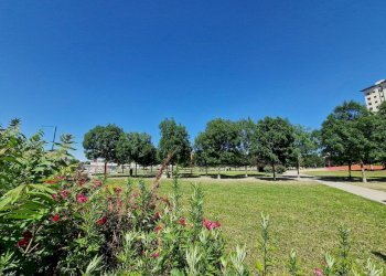 Three-room apartment Via Gressoney, 32, Torino (neighborhood Barriera Milano) - photo 41