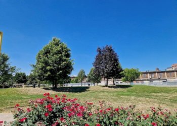 Negozio Via Antonio Banfo, 47, Torino (zona Barriera Milano) - foto 35