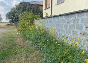 Casa indipendente Ravarino - foto 43