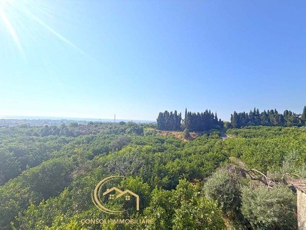 Terreno edificabile Mascali - foto 3