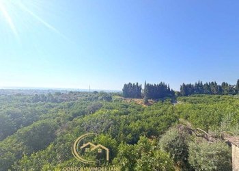 Terreno edificabile Mascali - foto 3