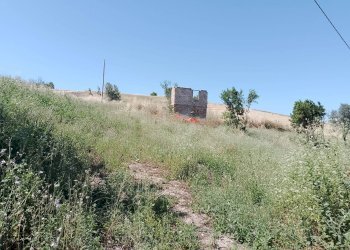 Foto 3 - Agricultural land Sant'Omero - photo 3