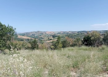 Foto 5 - Agricultural land Sant'Omero - photo 5