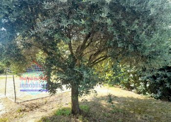 Foto 22 - Trilocale VIA FENOGLIO
 
7, San Giovanni in Persiceto - foto 22