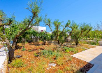 Giardino - Three-room apartment Contrada Antonelli
 
530, Monopoli - photo 8