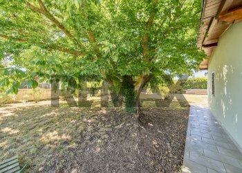 Giardino - Villa Strada Valmontorio
 
snc, Latina - photo 19