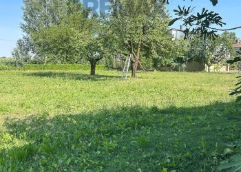 Giardino - Rustico Strada Bonincontri Longure
 
52, Asola - foto 40