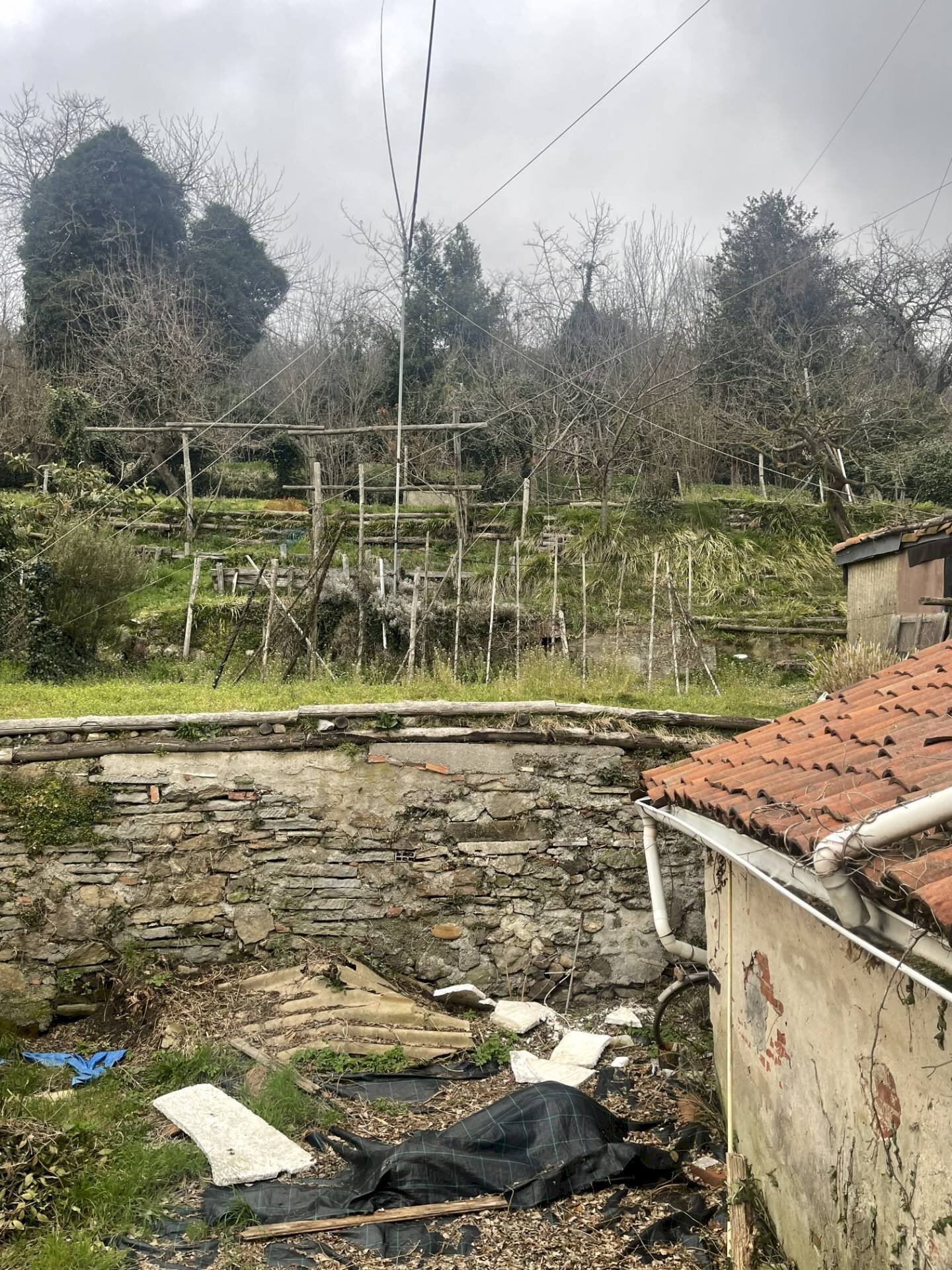 Giardino - Quadrilocale via G cesio
38, Altare - foto 3