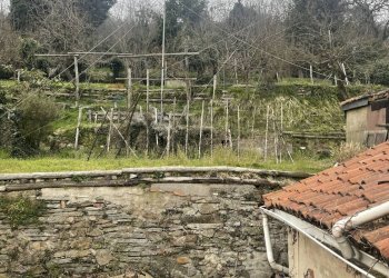 Giardino - Quadrilocale via G cesio
 
38, Altare - foto 3