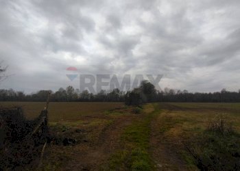 Giardino - Terreno agricolo Via provinciale 185
sn, Caravaggio - foto 2