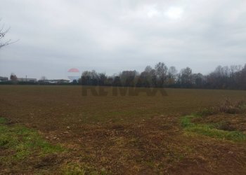 Giardino - Terreno agricolo Via provinciale 185
sn, Caravaggio - foto 3