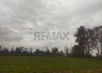 Giardino - Terreno agricolo Via provinciale 185
sn, Caravaggio - foto 4