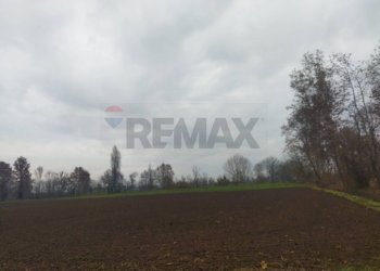 Non correlato - Terreno agricolo Via provinciale 185
sn, Caravaggio - foto 5
