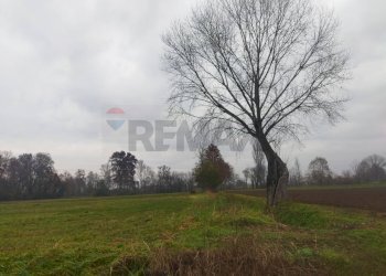 Giardino - Terreno agricolo Via provinciale 185
sn, Caravaggio - foto 6