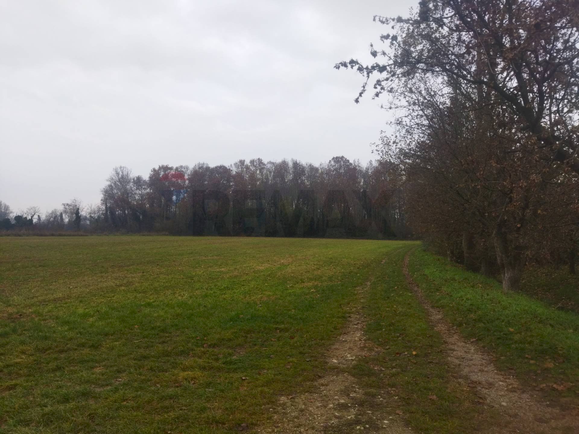 Giardino - Terreno agricolo via dei boschi
sn, Lurano - foto 3