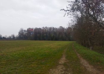 Giardino - Terreno agricolo via dei boschi
sn, Lurano - foto 3