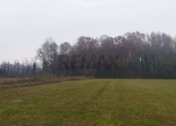 Giardino - Terreno agricolo via dei boschi
sn, Lurano - foto 6
