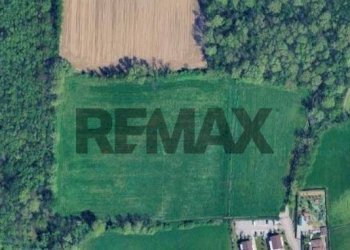 Posizione della mappa - Terreno agricolo via dei boschi
sn, Lurano - foto 1