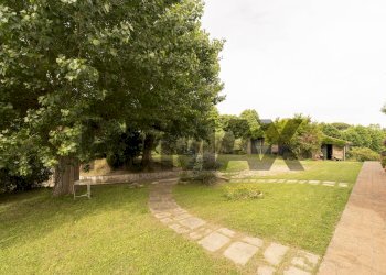 Giardino - Casa indipendente via pettinaccio
 
1/3, Crespina Lorenzana - foto 56