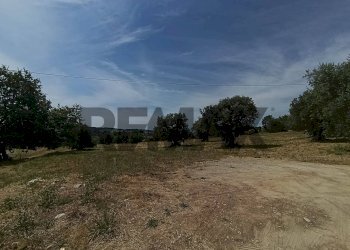 Giardino - Building land VIA VASCHIOLA
snc, Torrevecchia Teatina - photo 1