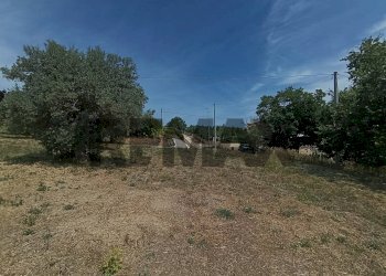 Giardino - Building land VIA VASCHIOLA
snc, Torrevecchia Teatina - photo 2