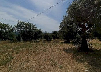 Giardino - Building land VIA VASCHIOLA
snc, Torrevecchia Teatina - photo 4