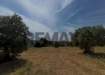 Vista delle montagne - Building land VIA VASCHIOLA
snc, Torrevecchia Teatina - photo 5