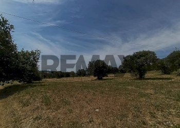 Giardino - Building land VIA VASCHIOLA
snc, Torrevecchia Teatina - photo 7