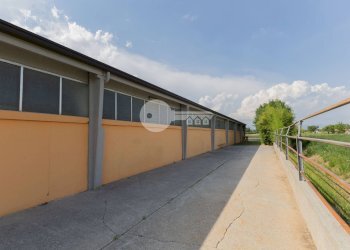Foto 16 - Warehouse VIA GOITO, Ghedi - photo 16