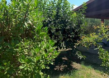 Giardino - Bilocale via Magaggiari
 
5, Cinisi - foto 12