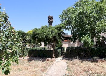Giardino - Rustico C.da Mosebbi
 
snc, Ragusa - foto 8