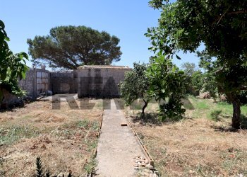 Giardino - Rustico C.da Mosebbi
 
snc, Ragusa - foto 9