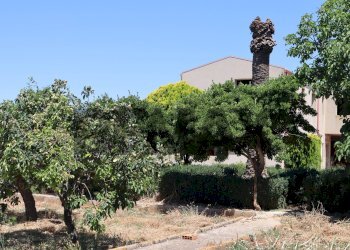 Giardino - Rustico C.da Mosebbi
 
snc, Ragusa - foto 28