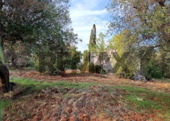 Giardino - Rustic Contrada Morgicchio
 
snc, Carovigno - photo 15