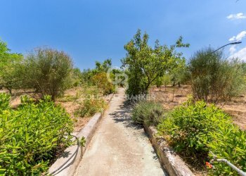 Foto 32 - Villa Contrada San Pietro
 
Sn, Andria - foto 32