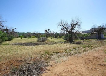 Terreno - Villa via Covile, Casarano - foto 16