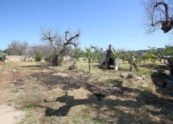 Terreno - Villa via Covile, Casarano - foto 17