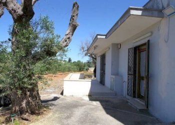 Terreno - Villa via Covile, Casarano - foto 29