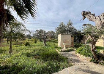 Terreno - Villa SP223, Gallipoli - foto 9