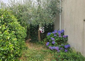 Foto 16 - Three-room apartment Via Mario Liberati
 
13, Carbognano - photo 16