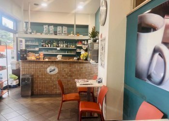 Interno non residenziale - Cafeteria - Cold Bar Albenga - photo 2