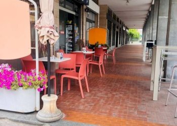 Zona - Cafeteria - Cold Bar Albenga - photo 4