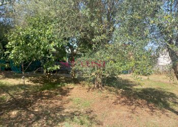 Foto 18 - Villa Grosseto - foto 18