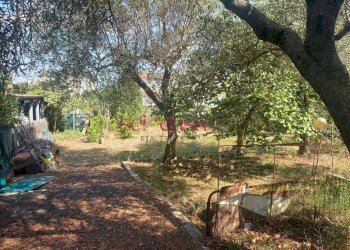 Foto 19 - Villa Grosseto - foto 19