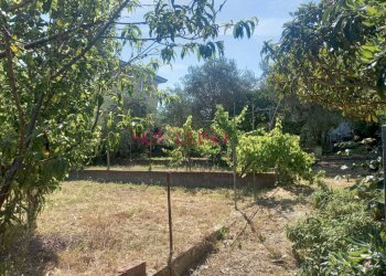 Foto 20 - Villa Grosseto - foto 20