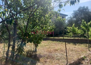 Foto 22 - Villa Grosseto - foto 22