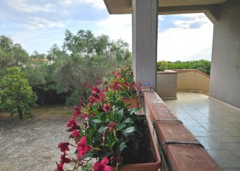 Foto 11 - Villa Grosseto - foto 11